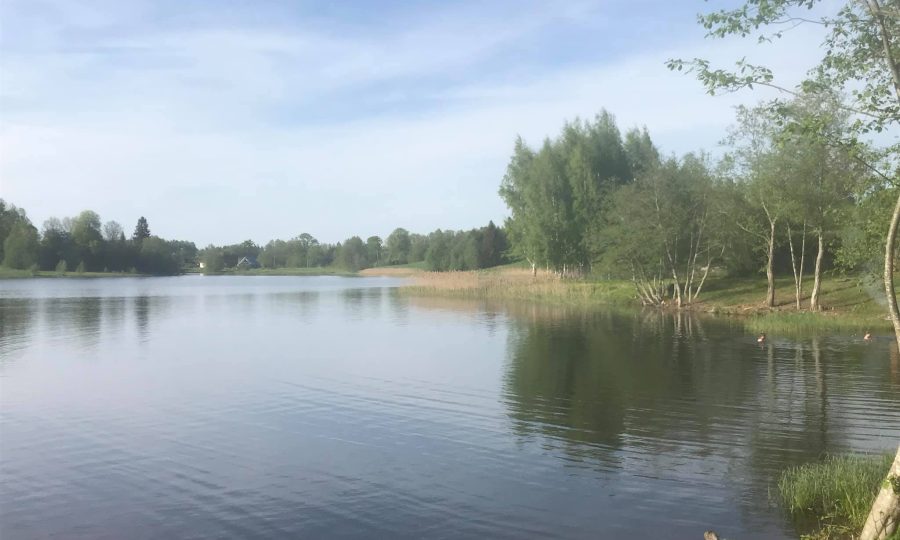 Korrastatud supluskoht